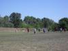 sdc10577_large