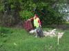 sdc107291_large