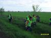 sdc107591_large