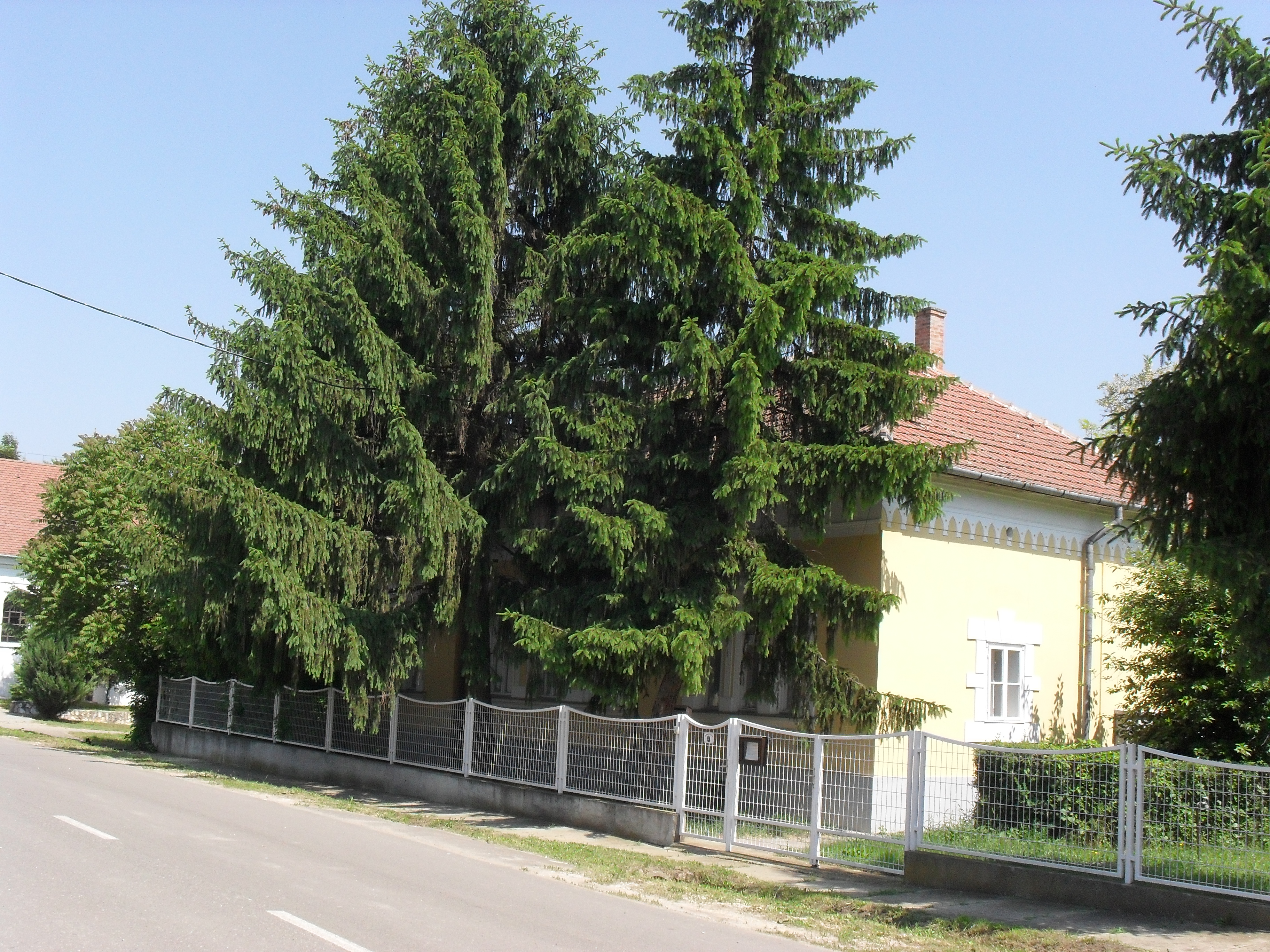 Parókia